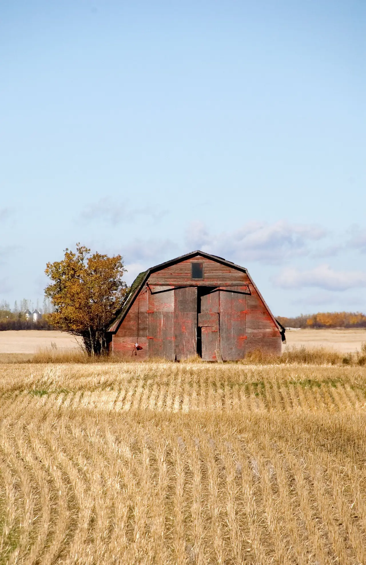 Old red barn in a stubble field, 2006
