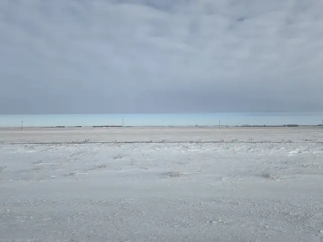 Snowy field and railway line